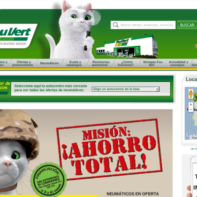 Comment le chat marque son territoire - YouTube
